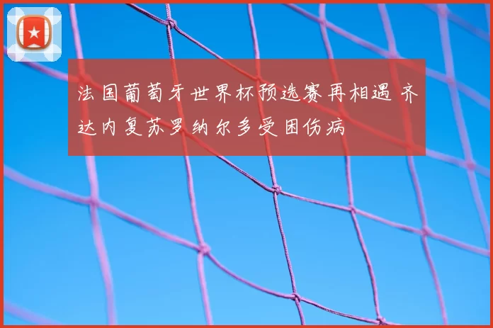 法国葡萄牙世界杯预选赛再相遇 齐达内复苏罗纳尔多受困伤病