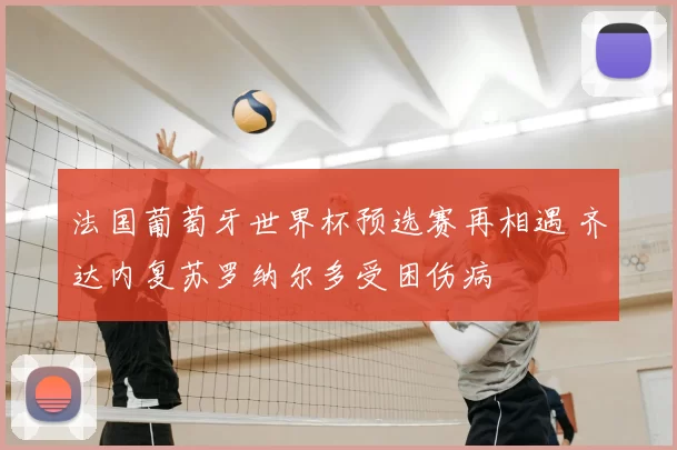法国葡萄牙世界杯预选赛再相遇 齐达内复苏罗纳尔多受困伤病