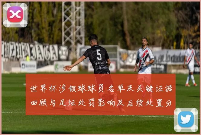 世界杯涉假球球员名单及关键证据回顾与足坛处罚影响及后续处置分析