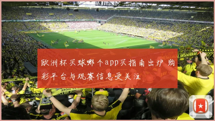 欧洲杯买球哪个app买指南出炉 购彩平台与观赛信息受关注