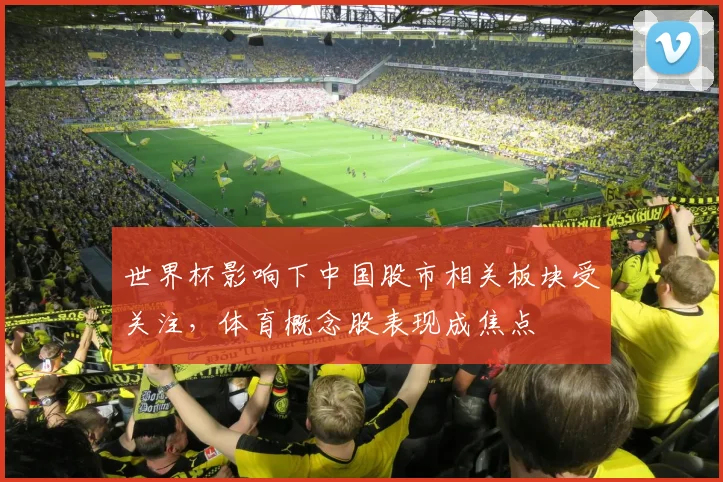 世界杯影响下中国股市相关板块受关注,体育概念股表现成焦点