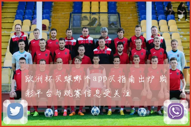 欧洲杯买球哪个app买指南出炉 购彩平台与观赛信息受关注