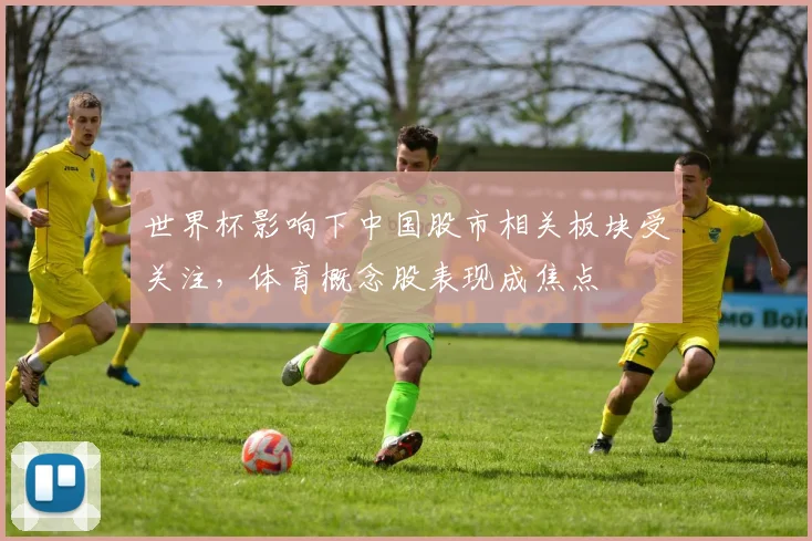 世界杯影响下中国股市相关板块受关注，体育概念股表现成焦点