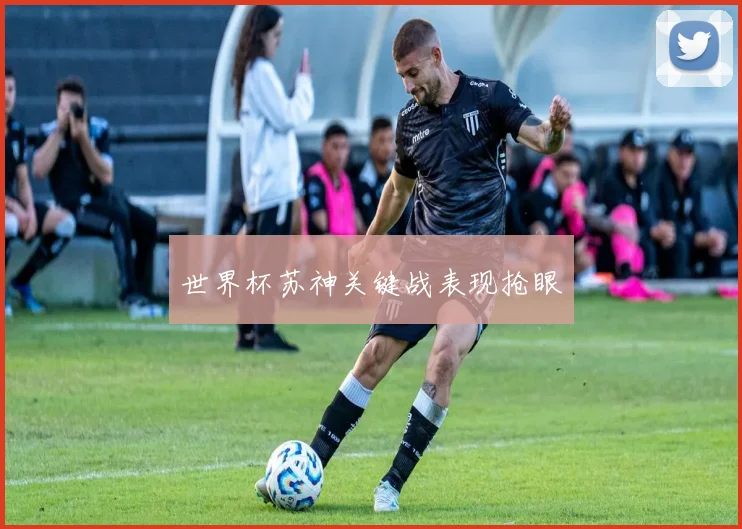 世界杯苏神关键战表现抢眼