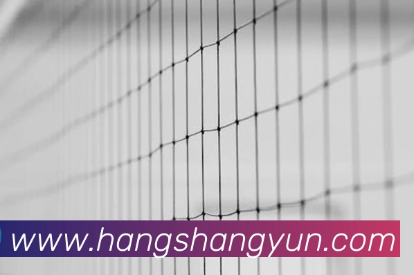 RAYBET雷竞技 - 最佳电子竞技即时竞猜平台.平台生态图