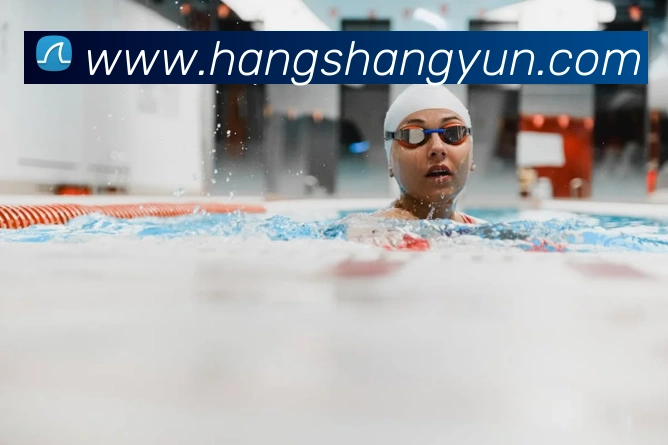 体育数据展示